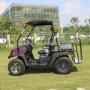 4 Passenger UTV Golf Cart, Gasoline and Electric Models