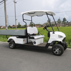 Hot Sale 2 Seat Battery Powered Electric Golf Cart Off Road With Cargo Box