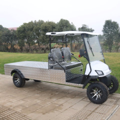 Electric truck cargo golf cart,customize 2 seater electric cargo cart