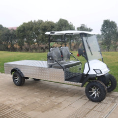 Chariot de golf de fret de camion électrique, personnaliser le chariot de fret électrique 2 places