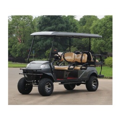 Professional High Speed 4 Wheel Off Road 6 Seat Electric Golf Cart With Windshield