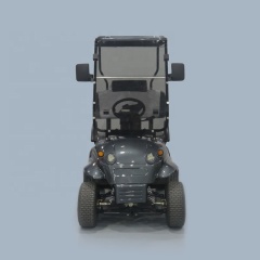 Custom 36V 1800w 4 Wheel Single Rider Golf Cart For Sale