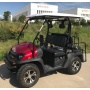 Carrito de golf de gasolina de 4 asientos de calidad con soportes para bolsas de golf