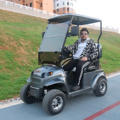 Customized 36V 1800W DC Motor Single Seater Mini Golf Cart