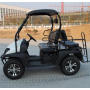 Good Quality 4 Seater Gasoline Golf Cart With Rear Back Seats