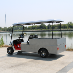 Chariot de golf de fret de camion électrique, personnaliser le chariot de fret électrique 2 places