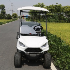 Professional Manufacturer High Performance Motorized 2 Seats Cart Golf With Cargo Truck