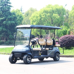 Powerful 5KW AC Motor 4 Wheel Drive Electric 6 Passengers Golf Cart