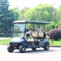 Chariot de golf électrique puissant de 5 passagers du moteur à courant alternatif 4KW 6 roues motrices