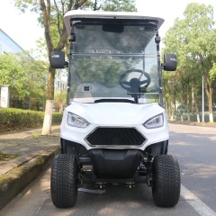 New Design Off Road Sightseeing 2 Person Electric Mini Golf Cart With Folding Clear Windshield