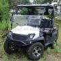 4 Passenger UTV Golf Cart, Gasoline and Electric Models