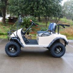 Voiturette de golf électrique pour 2 passagers