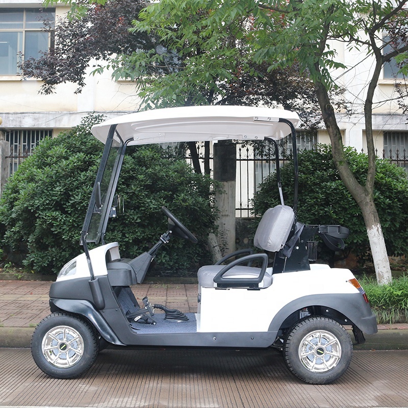 Hot Sale Farm Durable 5KW 48V alimenté par batterie 2 places petit chariot de golf