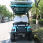 2022 new 4 seats electric off-road golf cart with solar panel