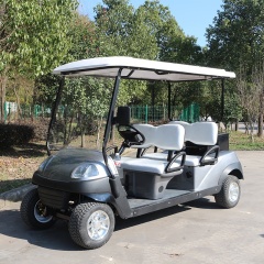 Powerful 5KW AC Motor 4 Wheel Drive Electric Street Legal Utility Golf Cart