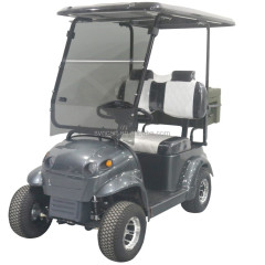 cheap new model 2 mini seater golf cart and high quality