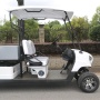 Off Road 4 Wheel Drive Street Legal 2 Person Electric Mini Golf Cart With Cargo