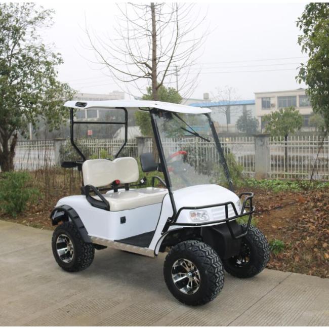 Hot Sale High performance 4 Wheel Single Seater Golf Buggy