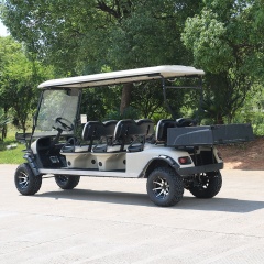 Hot Sale Off Road 4 Wheel Drive Street Legal 6 Seater Golf Carts With Rear Box