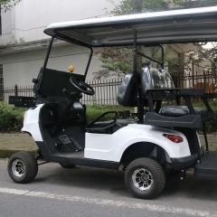 Custom Restaurant Hotel 4 Passenger Off-Road Electric Golf Cart For Sale
