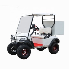 Prix ​​d'usine 2 personnes hors route 4 roues motrices Mini chariot de golf électrique avec boîte de rangement
