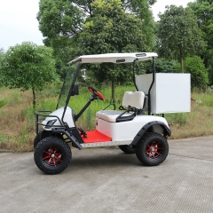 Prix ​​d'usine 2 personnes hors route 4 roues motrices Mini chariot de golf électrique avec boîte de rangement