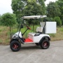 Factory Price 2 Person Off Road 4 Wheel Drive Electric Mini Golf Cart With Storage Box