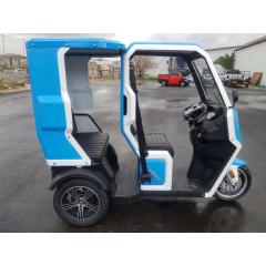 custom 2200W mini mobility scootergolf cart