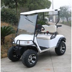 Hot Sale High performance 4 Wheel Single Seater Golf Buggy