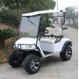 Hot Sale High performance 4 Wheel Single Seater Golf Buggy