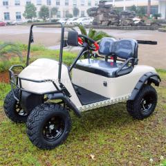 Voiturette de golf électrique pour 2 passagers