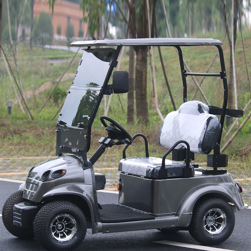 New Design Single Seat 4 Wheels Small Golf Cart With Roof And Windshield