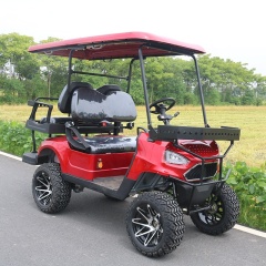 New Arrival Powerful 5KW Sightseeing Electric Hunting 4 Seater Golf Cart