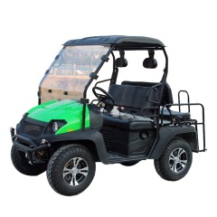 Buena calidad Off Road 4 Passenger UTV Gas Golf Cart Gasolina