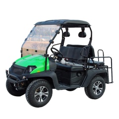 Good Quality Off Road 4 Passenger UTV Gas Golf Cart Gasoline