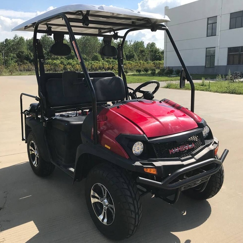 High performance custom 4 seater electric golf cart