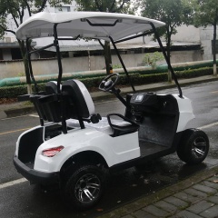 High Quality Lithium Battery Powered 4 Wheel Drive 2 Passenger Mini Golf Carts Electric