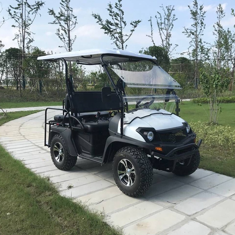 High performance custom 4 seater electric golf cart