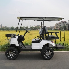 New Design Utility Off Road 5KW 48V Electric Golf Carts 4 Seater For Hotel Travel