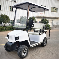 Cheap Price 2 Passenger 4 Wheel Drive Mini Electric China Golf Cart