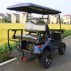 Custom Hotel Club Off-road High Performance 4 Seat Electric Golf Cart With Lithium Battery