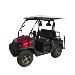 Alto rendimiento personalizado todoterreno 4 asientos carrito de golf utilitario Utv