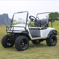 Mini chariot de golf électrique 2 places Offroad sans toit personnalisé