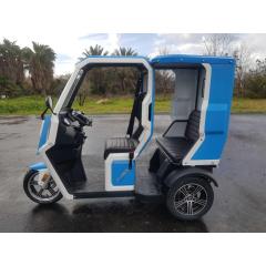 custom 2200W mini mobility scootergolf cart