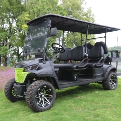 Carro de golf eléctrico al aire libre del pasajero de Off Road 4 del carro de golf eléctrico de la tracción de 6 ruedas de la alta resistencia