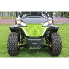 High Endurance 4 Wheel Drive Electric Golf Cart Outdoor Off Road 6 Passenger Golf Cart