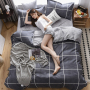 Home Textile Twin King Queen Size Bed Set, Bedclothes with Bed Sheet Comforter set Pillow case/