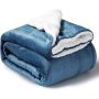 Flannel blankets and throws Adult Thick Warm winter Blankets Home Super Soft duvet cover luxury solid Blankets On twin Bedding
