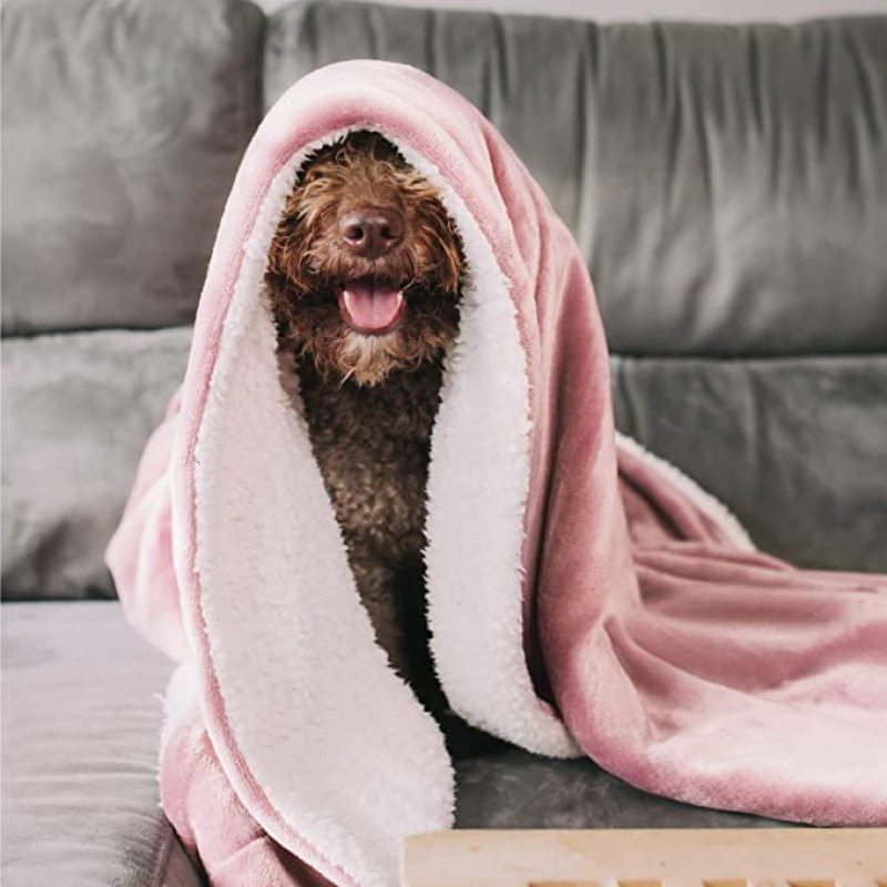Flannel blankets and throws Adult Thick Warm winter Blankets Home Super Soft duvet cover luxury solid Blankets On twin Bedding