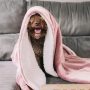 Flannel blankets and throws Adult Thick Warm winter Blankets Home Super Soft duvet cover luxury solid Blankets On twin Bedding